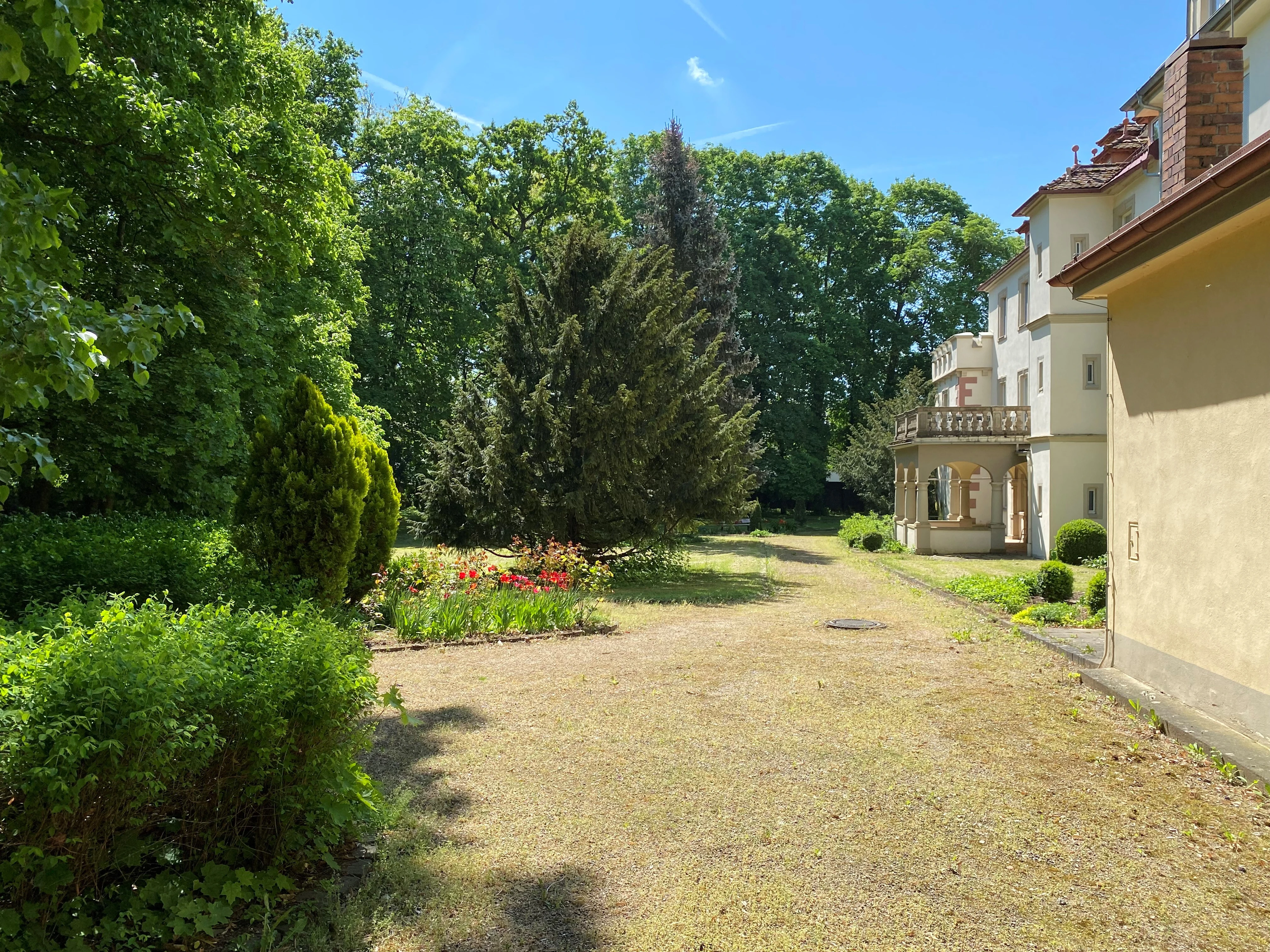 school building and garden